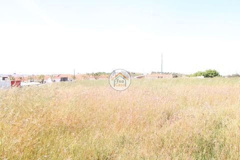 Terra a Redondo, Evora, Redondo - € 1.200.000 | Ref: 15TC3191 - foto 7