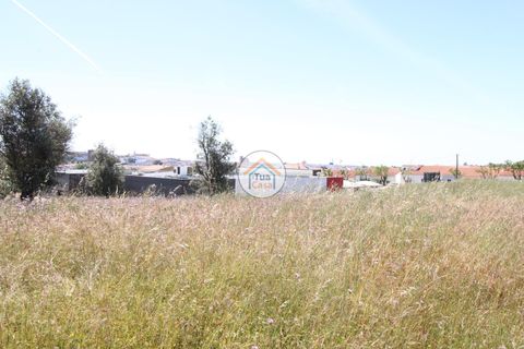 Terra a Redondo, Evora, Redondo - € 1.200.000 | Ref: 15TC3191 - foto 8