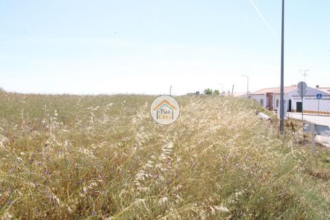 Terra a Redondo, Evora, Redondo - € 1.200.000 | Ref: 15TC3191 - foto 9
