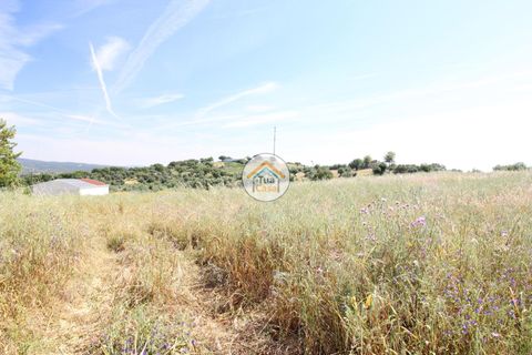 Terra a Redondo, Evora, Redondo - € 1.200.000 | Ref: 15TC3191 - foto 11