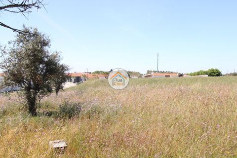 Terra a Redondo, Evora, Redondo - € 1.200.000 | Ref: 15TC3191 - foto 12