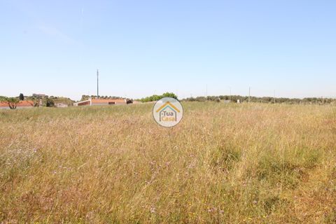 Terra a Redondo, Evora, Redondo - € 1.200.000 | Ref: 15TC3191 - foto 13