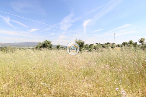 Terra a Redondo, Evora, Redondo - € 1.200.000 | Ref: 15TC3191 - foto 14
