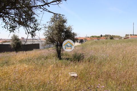 Terra a Redondo, Evora, Redondo - € 1.200.000 | Ref: 15TC3191 - foto 15