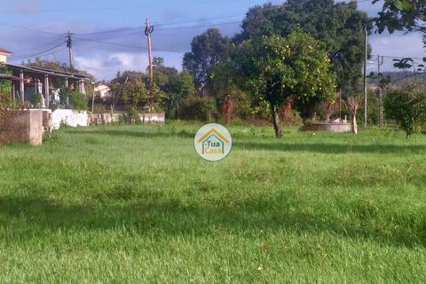 Helårsgrund i Coimbra, Coimbra, Coimbra - € 127.500 | Ref: 4TC2678 - foto 1