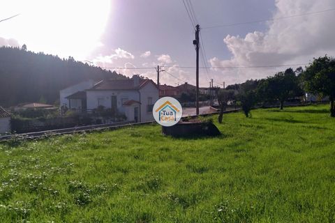 Helårsgrund i Coimbra, Coimbra, Coimbra - € 127.500 | Ref: 4TC2678 - foto 9