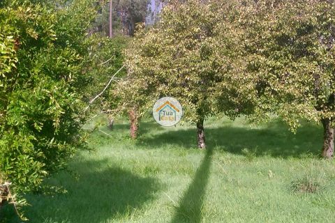 Helårsgrund i Coimbra, Coimbra, Coimbra - € 127.500 | Ref: 4TC2678 - foto 12