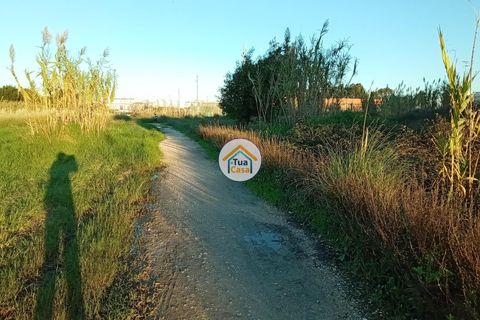 Tomt i Aveiro, Aveiro, Aveiro - € 250 000 | Ref: 2TC2942 - foto 5