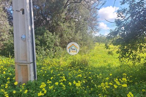 Helårsgrund i Faro, Faro, Faro - € 300.000 | Ref: 12TC3620 - foto 2