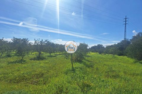 Helårsgrund i Faro, Faro, Faro - € 300.000 | Ref: 12TC3620 - foto 4