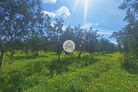 Helårsgrund i Faro, Faro, Faro - € 300.000 | Ref: 12TC3620 - foto 5