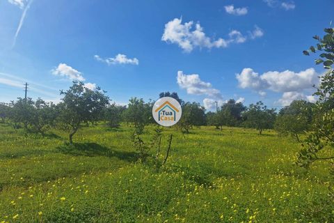 Helårsgrund i Faro, Faro, Faro - € 300.000 | Ref: 12TC3620 - foto 6