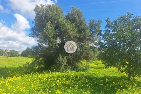 Helårsgrund i Faro, Faro, Faro - € 300.000 | Ref: 12TC3620 - foto 7