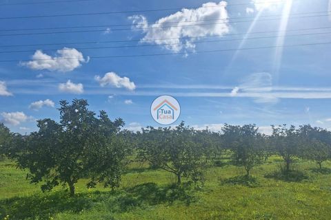Helårsgrund i Faro, Faro, Faro - € 300.000 | Ref: 12TC3620 - foto 8