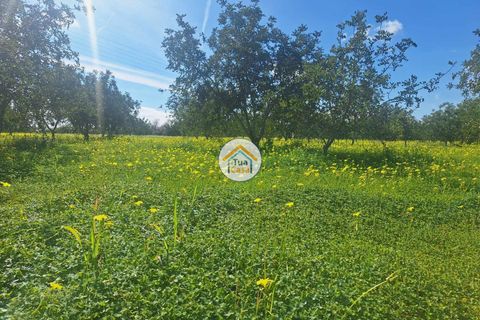 Helårsgrund i Faro, Faro, Faro - € 300.000 | Ref: 12TC3620 - foto 12