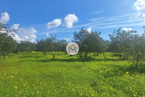 Helårsgrund i Faro, Faro, Faro - € 300.000 | Ref: 12TC3620 - foto 15