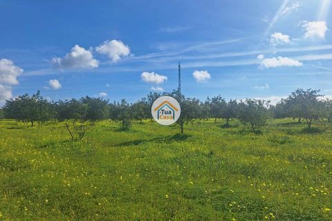 Helårsgrund i Faro, Faro, Faro - € 300.000 | Ref: 12TC3620 - foto 16