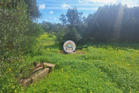 Helårsgrund i Faro, Faro, Faro - € 300.000 | Ref: 12TC3620 - foto 17