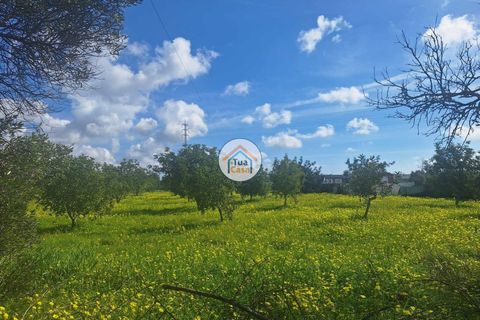 Helårsgrund i Faro, Faro, Faro - € 300.000 | Ref: 12TC3620 - foto 18