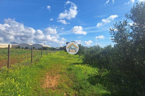 Helårsgrund i Faro, Faro, Faro - € 300.000 | Ref: 12TC3620 - foto 21