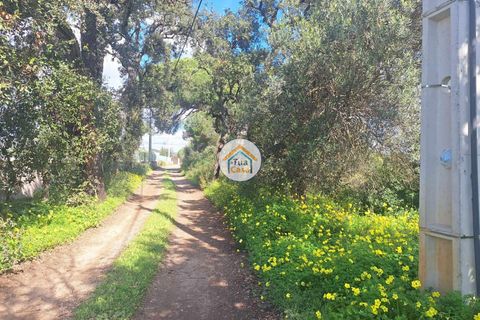Helårsgrund i Faro, Faro, Faro - € 300.000 | Ref: 12TC3620 - foto 22