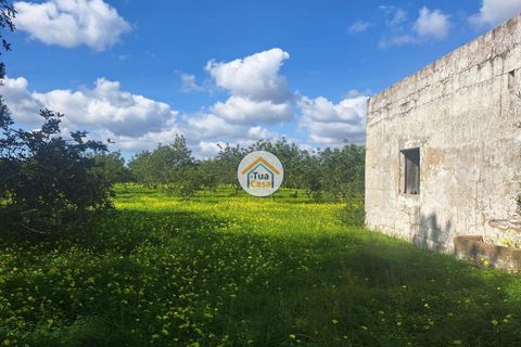 Helårsgrund i Faro, Faro, Faro - € 300.000 | Ref: 12TC3620 - foto 25