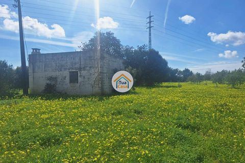Helårsgrund i Faro, Faro, Faro - € 300.000 | Ref: 12TC3620 - foto 27