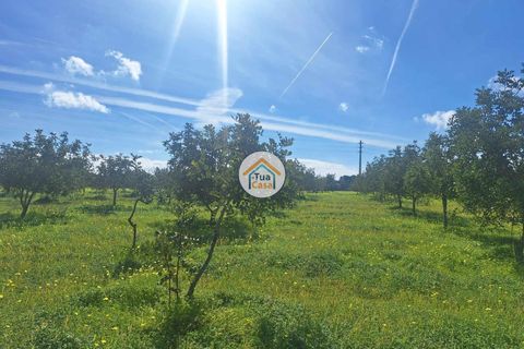 Helårsgrund i Faro, Faro, Faro - € 300.000 | Ref: 12TC3620 - foto 28