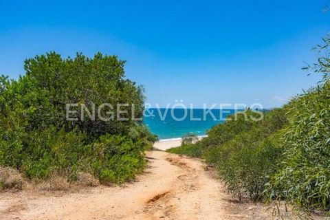 Villa i Vale do Lobo, Faro, Vale do Lobo - € 1.350.000 | Ref: W-02ROBT - foto 36