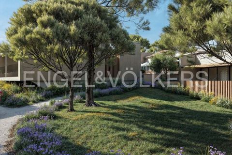 Helårsgrund i Almancil, Faro, Almancil - € 3.900.000 | Ref: W-02T7EF - foto 12