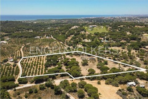 Helårsgrund i Almancil, Faro, Almancil - € 3.900.000 | Ref: W-02T7EF - foto 18