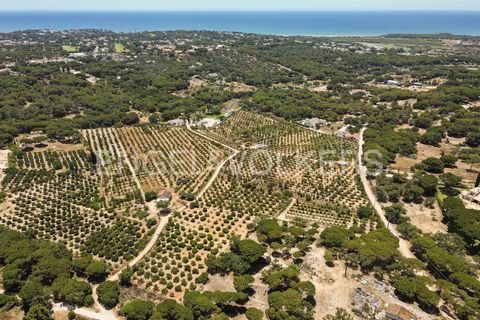 Helårsgrund i Almancil, Faro, Almancil - € 3.900.000 | Ref: W-02T7EF - foto 20