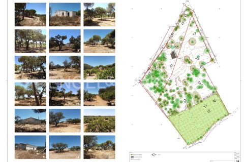 Helårsgrund i Almancil, Faro, Almancil - € 3.900.000 | Ref: W-02T7EF - foto 24