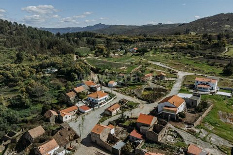 Helårsgrund i Belmonte, Castelo Branco, Belmonte - € 23.750 | Ref: 111250047 - foto 18