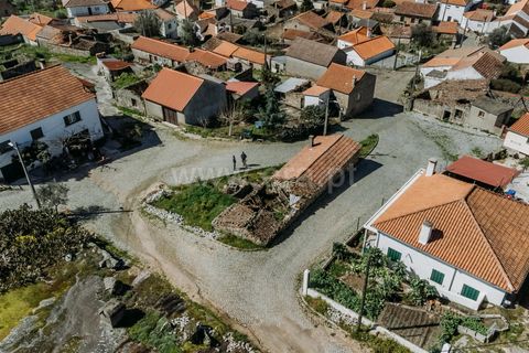 Helårsgrund i Belmonte, Castelo Branco, Belmonte - € 23.750 | Ref: 111250047 - foto 9