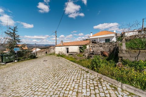 Helårsgrund i Belmonte, Castelo Branco, Belmonte - € 23.750 | Ref: 111250047 - foto 15
