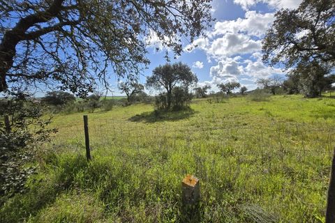 Terra a Alandroal, Evora, Alandroal - € 45.000 | Ref: JG2386 - foto 5