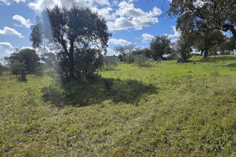 Terra a Alandroal, Evora, Alandroal - € 45.000 | Ref: JG2386 - foto 6