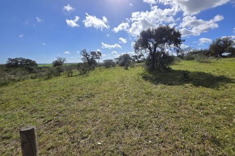 Terra a Alandroal, Evora, Alandroal - € 45.000 | Ref: JG2386 - foto 7