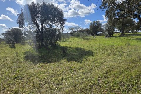 Terra a Alandroal, Evora, Alandroal - € 45.000 | Ref: JG2386 - foto 9