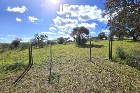Terra a Alandroal, Evora, Alandroal - € 45.000 | Ref: JG2386 - foto 13