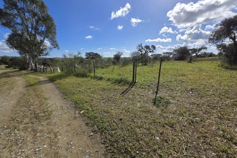 Terra a Alandroal, Evora, Alandroal - € 45.000 | Ref: JG2386 - foto 14
