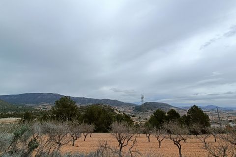 Villa a La Romana, Alicante, La Romana - € 450.000 | Ref: ANAM-VILLA CUMBRE - foto 18