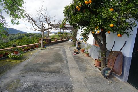 Landejendom i Orgiva, Granada, Orgiva - € 550.000 | Ref: OC572 - foto 7