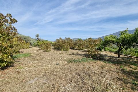 Landejendom i Orgiva, Granada, Orgiva - € 550.000 | Ref: OC572 - foto 33