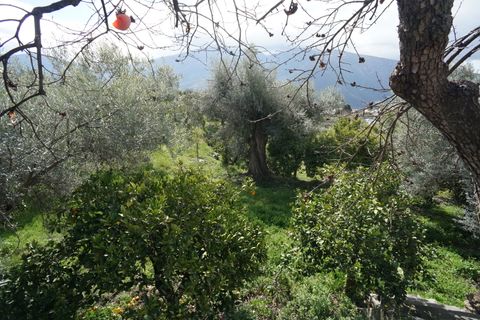 Landejendom i Orgiva, Granada, Orgiva - € 550.000 | Ref: OC572 - foto 27