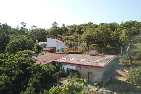 Villa i Monchique, Faro, Monchique - € 220.000 | Ref: GP-VIV1128 - foto 1