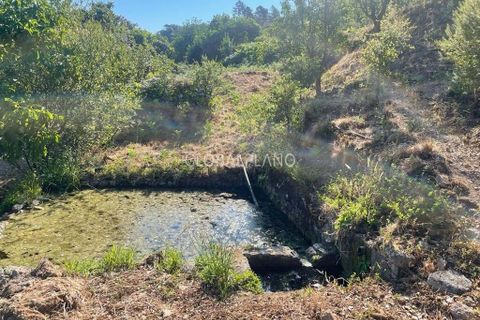 Villa i Monchique, Faro, Monchique - € 220.000 | Ref: GP-VIV1128 - foto 3