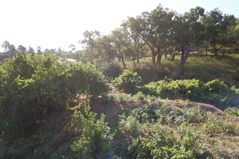 Villa i Monchique, Faro, Monchique - € 220.000 | Ref: GP-VIV1128 - foto 5
