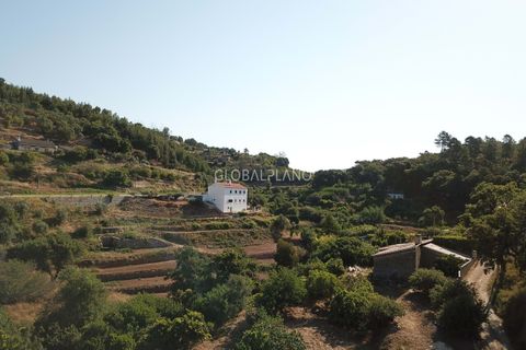 Villa i Monchique, Faro, Monchique - € 220.000 | Ref: GP-VIV1128 - foto 6